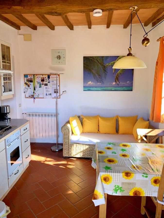 Ferienhaus Il-Pino Villa Roccastrada Eksteriør bilde