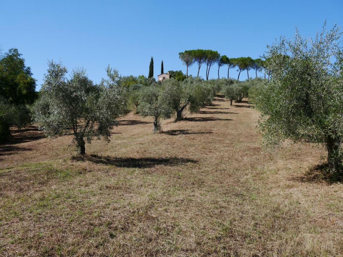 Ferienhaus Il-Pino Villa Roccastrada Eksteriør bilde