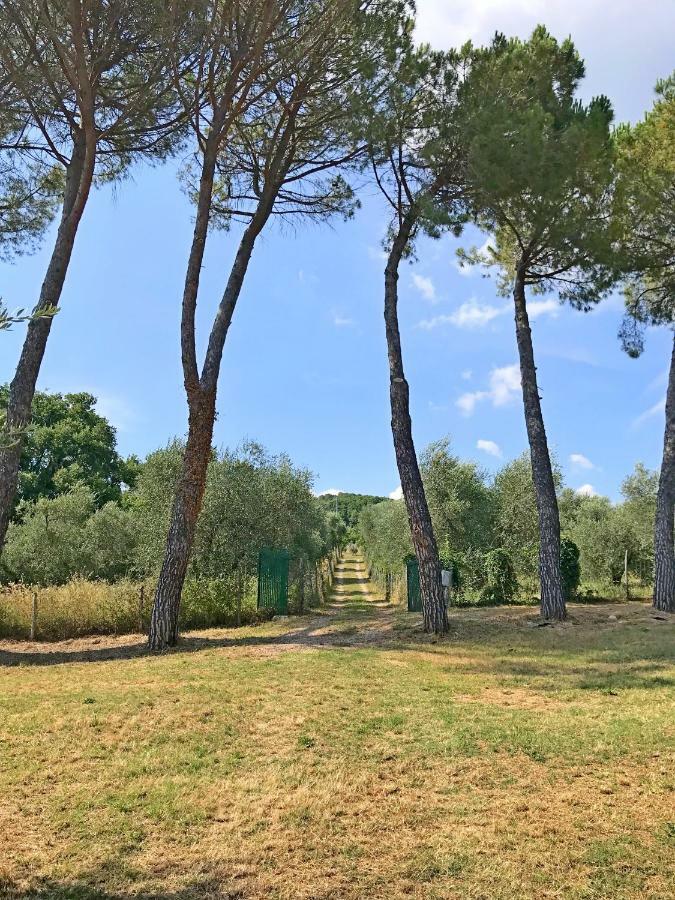 Ferienhaus Il-Pino Villa Roccastrada Eksteriør bilde